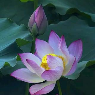 快乐过好每一天