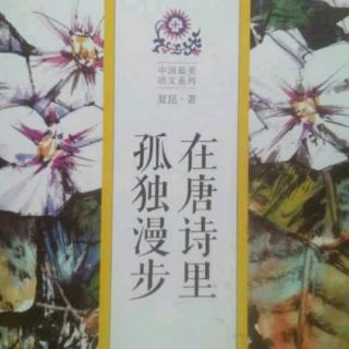 夏昆 在唐诗里孤独漫步 唐人之狂 (1)51