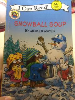 D152 snowball soup