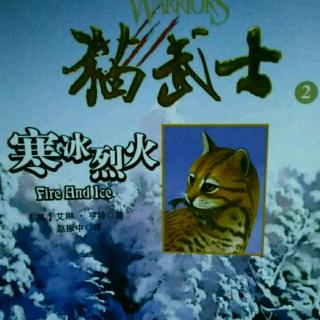 猫武士―寒冰烈火30