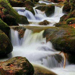 2.金木水火土