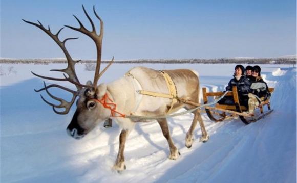 【the best ride ever】在线收听_grace pei你读英语_荔枝fm