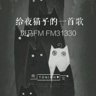 给夜猫子的一首歌第十一期