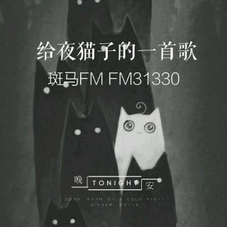 给夜猫子的一首歌第十期