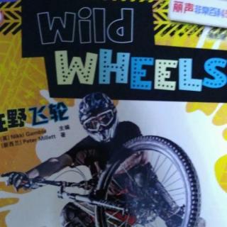 wild wheels 1