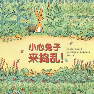 【故事】453.《小心兔子来捣乱》恼人的兔子