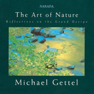 唯美钢琴《让我靠近你》美国新世纪音乐大师Michael Gettel