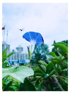 下雨天一个人在家～江国香织