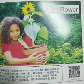 272、The flower