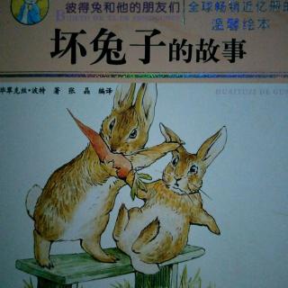 彼得兔系列《坏兔子的故事》