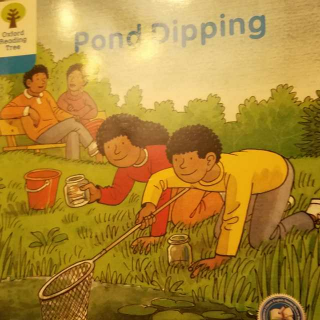 3–3 Pond Dipping