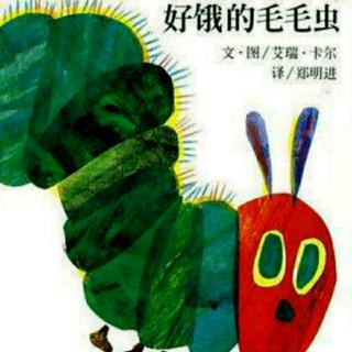 【口语模仿】The very hungry caterpillar