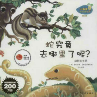 绘本312——《🐍蛇究竟去哪里了呢？》