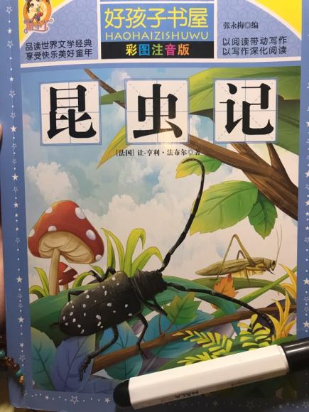 陈羽佳讲故事-昆虫记之捕蝇蜂