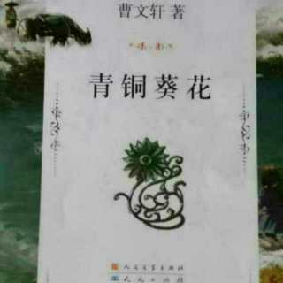 纸灯笼4