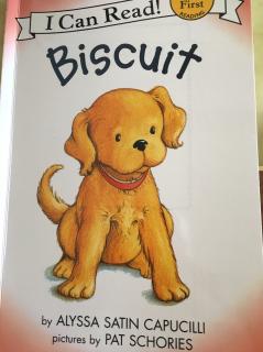 Biscuit