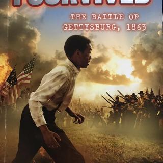 《the battle of Gettysburg,1863》chapter 1-2