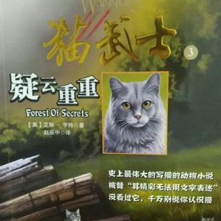 猫武士―疑云重重引子