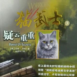 猫武士―疑云重重1