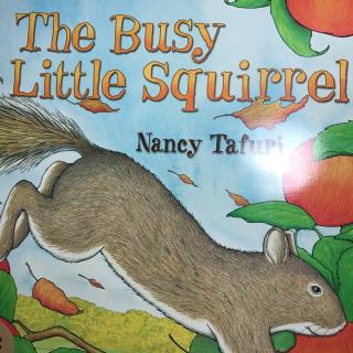 The busy little squirrel