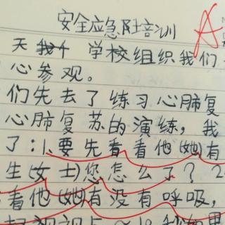 自创作文     安全应急培训