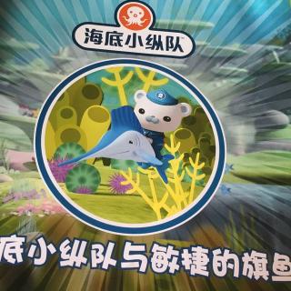 海底小纵队之敏捷的旗鱼