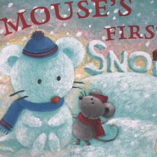 Mouse's first snow