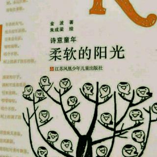 《柔软的阳光》15