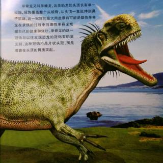 恐龙星球侏罗纪【单脊龙】-04