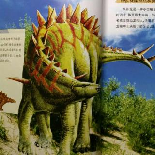 恐龙星球侏罗纪【华阳龙】-06