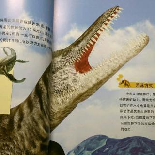 恐龙星球侏罗纪【滑齿龙】-07