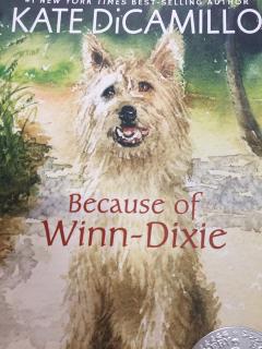 Book report of <Because of Winn-Dixie>