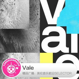  糖蒜爱音乐之The Selector：Vale 