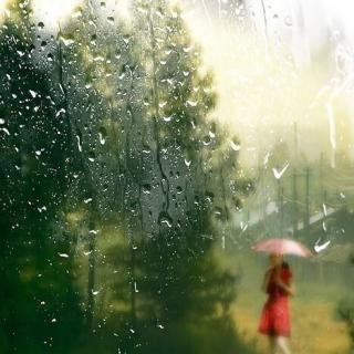 《秋雨》作者：张爱玲   朗读：山樱树下