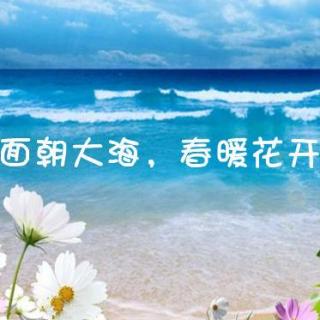 张芯语《面朝大海 春暖花开》