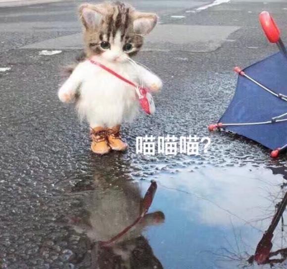 他给了你一个巴掌,又给了你一颗糖.