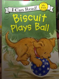 D157 biscuit plays ball