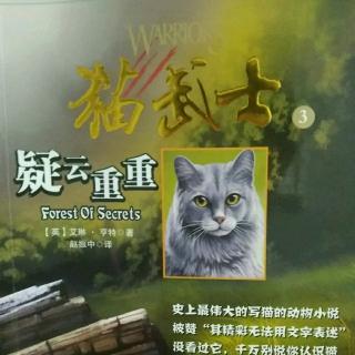 猫武士―疑云重重2