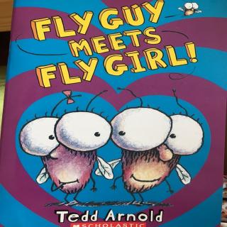 13- fly guy meets fly girl