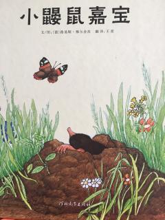 小鼹鼠嘉宝