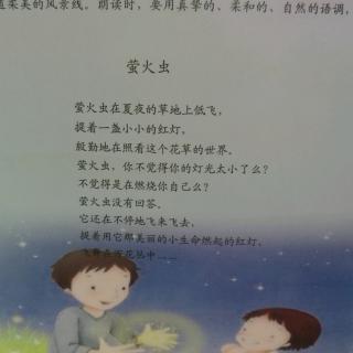 散文   《萤火虫》