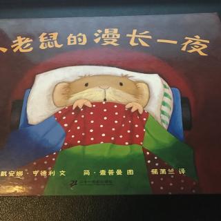 小老鼠漫长的一夜