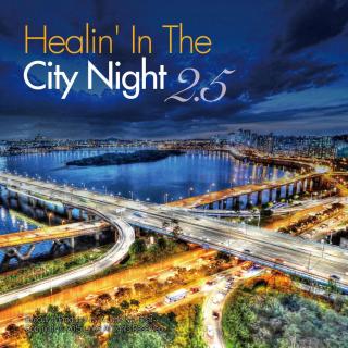 Healin' In The City Night Vol 2.5