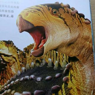 恐龙星球侏罗纪【棱背龙】-13