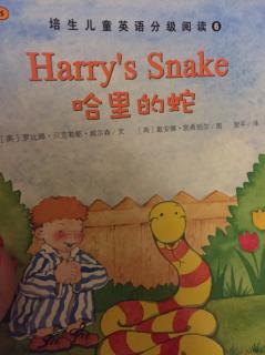 培生6级～Harry‘s snake（哈里的蛇）双语