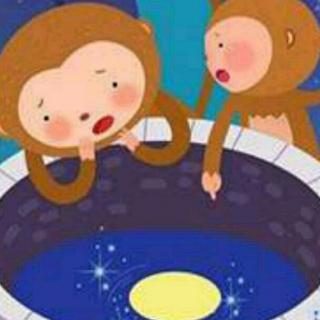 【宝宝故事】猴子捞月亮