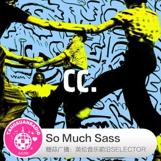  糖蒜爱音乐之The Selector：So Much Sass 