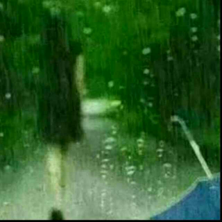 新村/我的家乡/雨荷