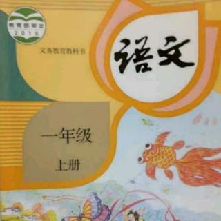 一年级上册 汉语拼音4