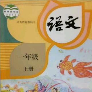 一年级上册 汉语拼音7